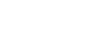 BLUE MEDICAL PLUS